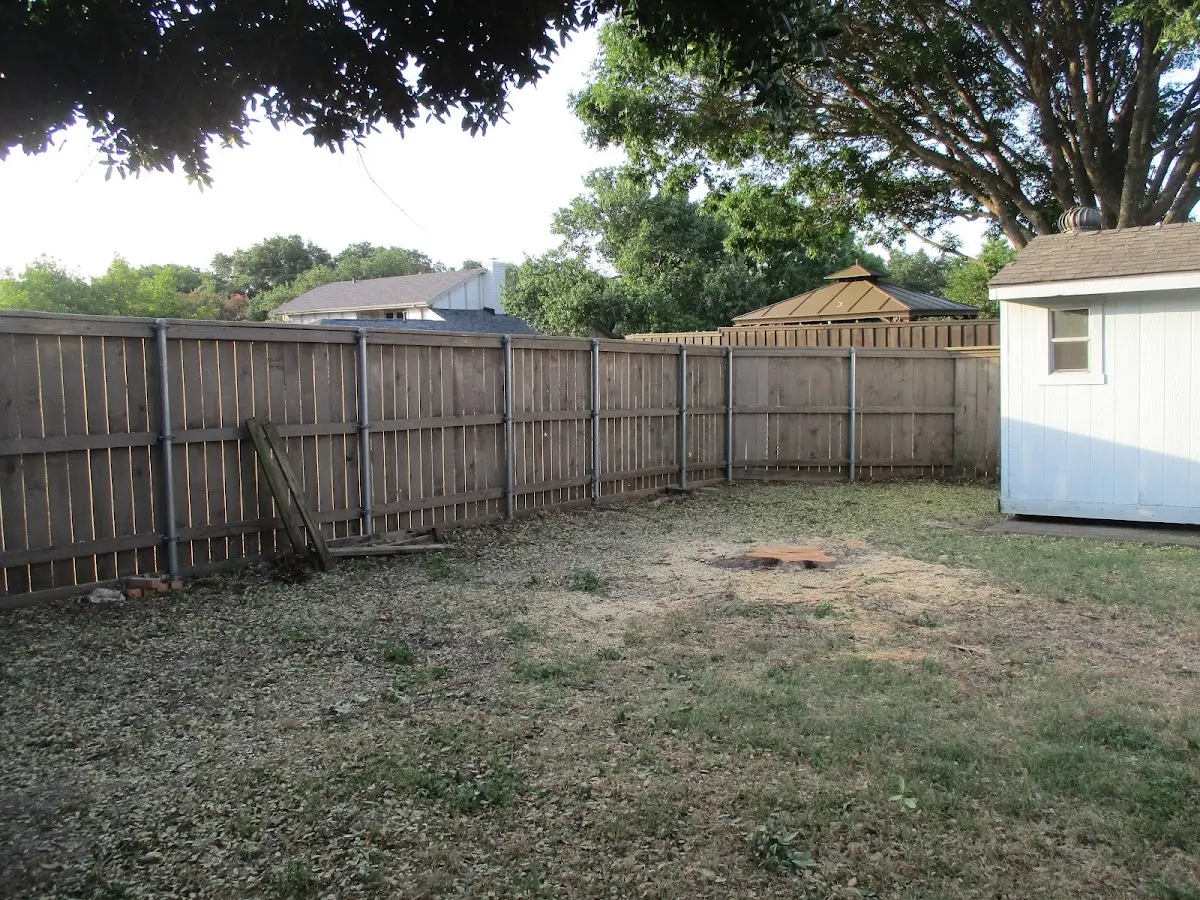 Cleared yard after professional tree removal in Minor Hill